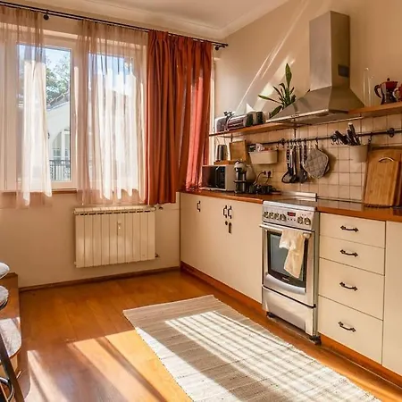 In Sofia's Beating Heart 公寓 索菲亞